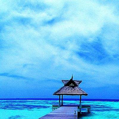 足球滚球的正规平台app手机app下载